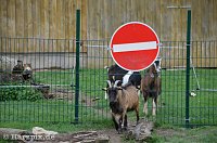 Bild: Possen