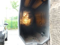Bild: Nest in der R&ouml;hre