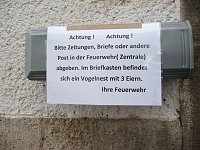 Bild: Nest in der R&ouml;hre