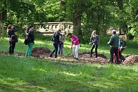 Bild: Arbeitseinsatz im Park Hohenrode