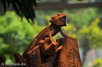 Bild: Nordh&auml;user Zoo