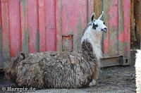 Bild: Nordh&auml;user Zoo