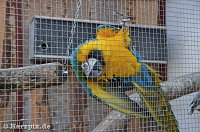 Bild: Nordh&auml;user Zoo