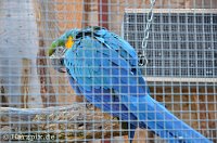 Bild: Nordh&auml;user Zoo