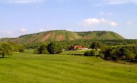 Bild: Unterwegs in der Natur