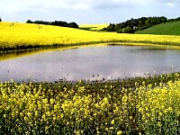 Bild: Unterwegs in der Natur
