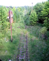 Bild: Unterwegs in der Natur