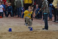 Sportfest der Kleinsten des LV Altstadt Bild: Sportfest der Kleinsten des LV Altstadt