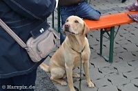 Kinderfest bei Gottert Bild: Kinderfest bei Gottert