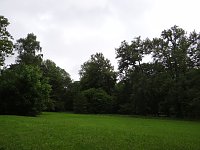 Bild: Unterwegs im Park