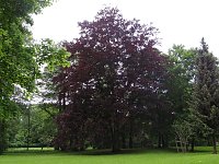 Bild: Unterwegs im Park