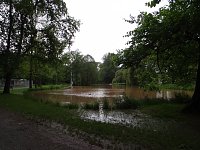 Bild: Unterwegs im Park