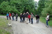 Bild: Die Nordh&auml;user Doppelk&ouml;rner im Helbetal