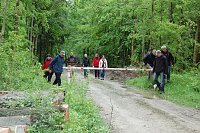 Bild: Die Nordh&auml;user Doppelk&ouml;rner im Helbetal