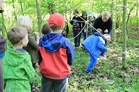 Projekt Klasse Wald Bild: Projekt Klasse Wald