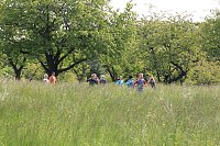 Projekt Klasse Wald Bild: Projekt Klasse Wald