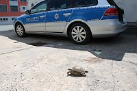 Bild: Besuch bei der Polizei