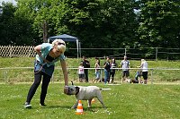 Bild: 5. Nordth&uuml;ringer Bulldoggentreffen
