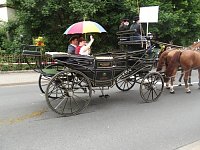 Bild: Weitere Bilder Festumzug (1)