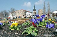Bild: 