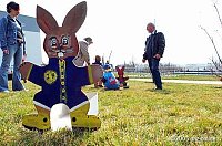 Bild: 