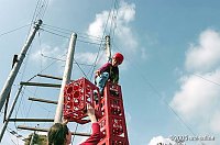Bild: 