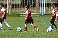 Bild: Tolles Erlebnis - die HSV-Fu&szlig;ballschule in Nordhausen
