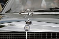 Bild: Oldtimertreffen auf dem Petersberg