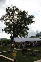 Bild: Eichenfest gefeiert