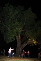 Bild: Eichenfest gefeiert