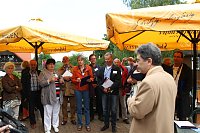 Bild: Jury in Neustadt