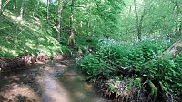 Bild: Das Steinm&uuml;hlental