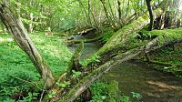Bild: Das Steinm&uuml;hlental