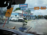 Bild: Verzweifelte Versuche
