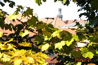 Bild: Altweibersommer