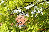 Bild: Altweibersommer