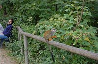Bild: Affenwald Erlebnispark Strau&szlig;berg