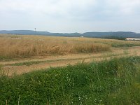 Bild: Das Sommerloch?