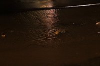 Bild: Unwetter in Nordhausen