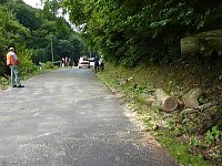 Bild: Baum umgest&uuml;rtzt