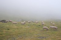 Bild: Ein fast vergessenes Land