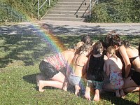 Bild: Der 7. Tag in Bildern