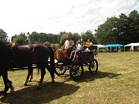Bild: Parkfest in Werna