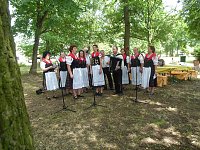 Bild: Parkfest in Werna