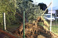 Bild: Unwetter in und um Nordhausen