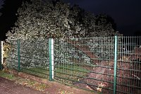 Bild: Unwetter in und um Nordhausen
