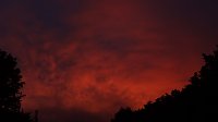Bild: Der "Himmel brennt" - &uuml;ber Wernrode