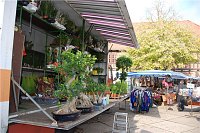 Marktschreier in Nordhausen Bild: Marktschreier in Nordhausen