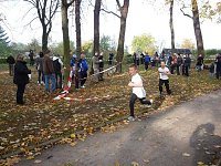 Bild: 15. Stadtparklauf Sondershausen
