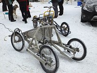 Bild: Schlittenhunderennen in Benneckenstein